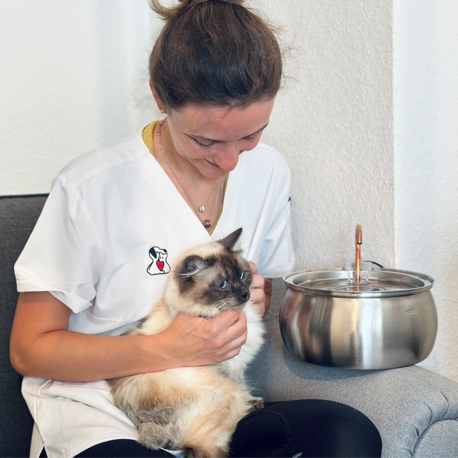 Fontaine à eau pour chat Tigrink 2.0