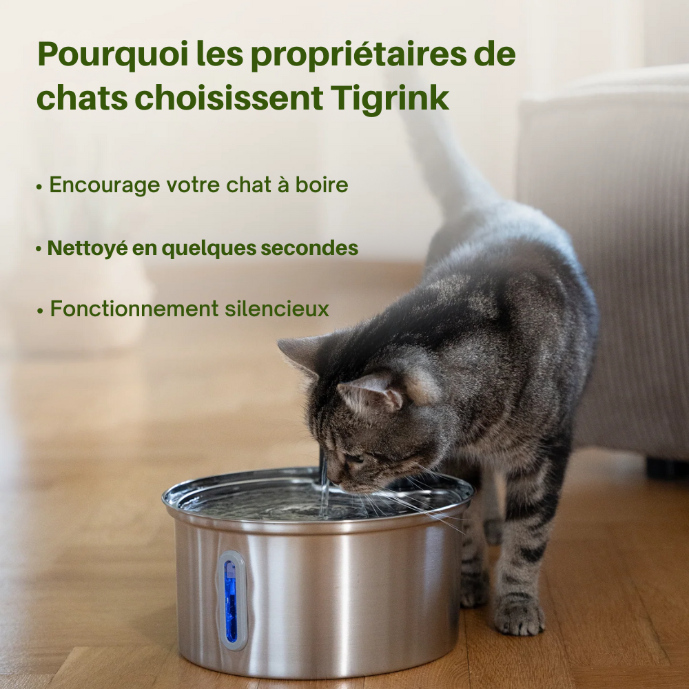 Fontaine à eau pour chat Tigrink 2.0